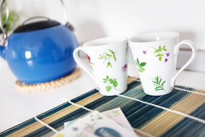 A Pochi Passi Bed and Breakfast Venaria Appartamento Terra Bollitore Tisane bio